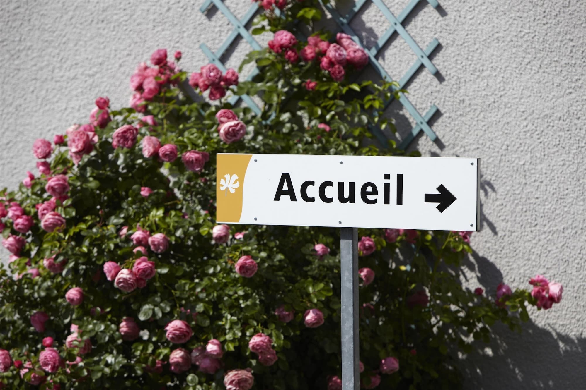Premiere Classe Lille Sud - Seclin Exterior foto